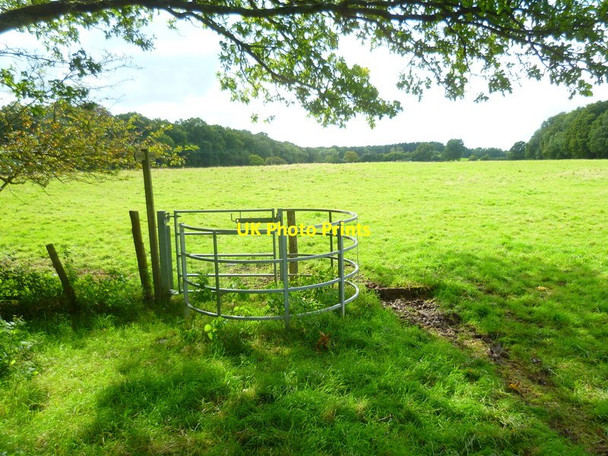 Photo 6"x4" Looking west on field path from kissing gate Ashington\/TQ1316 c2015