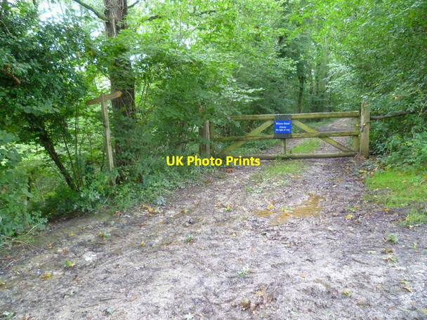 Photo 6"x4" Public footpath crosses track into Wiston Estate Ashington\/TQ1316 c2015