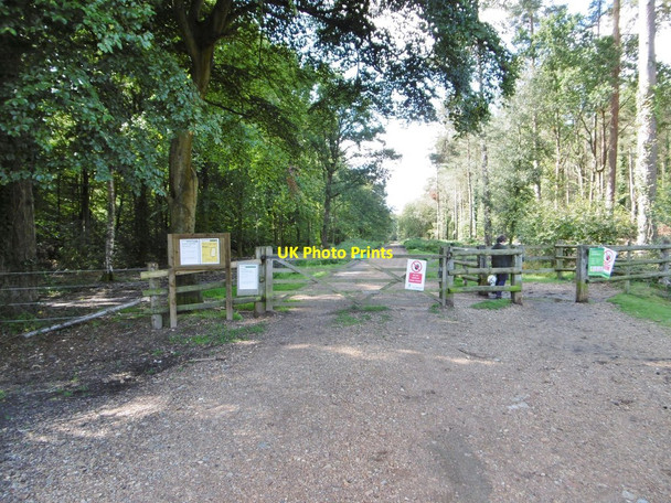 Photo 6"x4" Busketts Lawn Inclosure, gates Woodlands\/SU3211 c2015