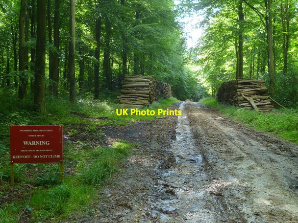 Photo 6"x4" Timber stacks in Angmering Park Estate Patching c2015