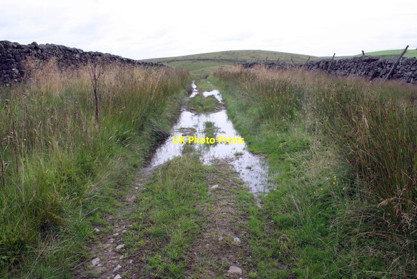 Photo 6"x4" Langber Lane, Newton Moor Otterburn\/SD8857 c2015