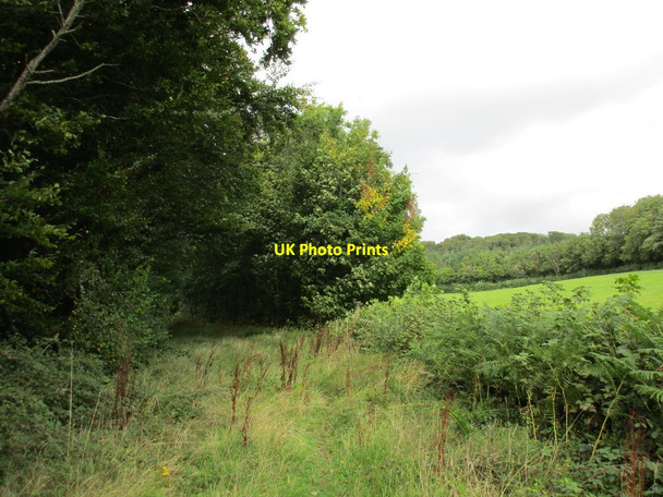 Photo 6"x4" Footpath beyond the Ideford Arch Ideford c2015