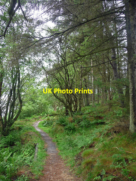 Photo 6"x4" Footpath near Fontburn Reservoir Newbiggin Fm c2012