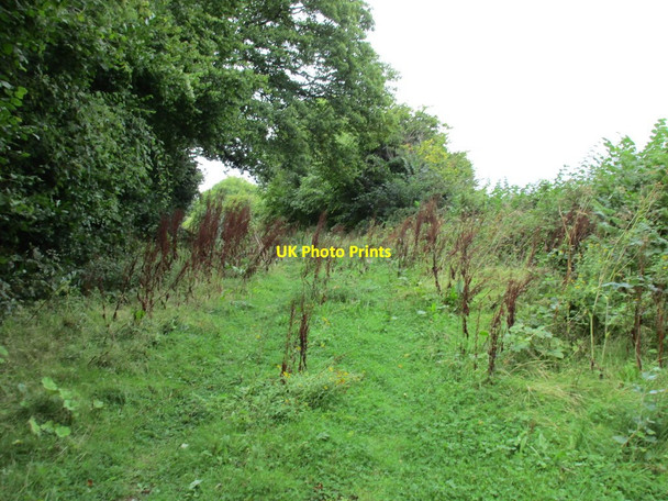 Photo 6"x4" Former road near Ideford Waddon\/SX8879 c2015