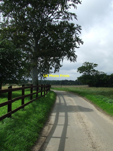 Photo 6"x4" Minor Road Benacre c2015