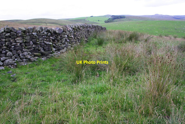 Photo 6"x4" Dry stone wall and footpath on Hellifield Moor Hellifield c2015