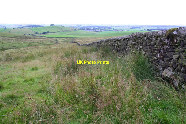 Photo 6"x4" Dry stone wall between Hellifield Moor and Newton Moor Hellifield c2015