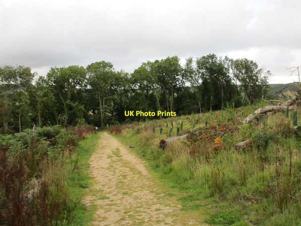 Photo 6"x4" South West Coast Path Sidmouth c2015