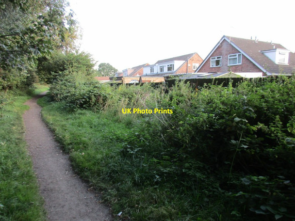 Photo 6"x4" Cycle route and houses on Clough Garth Hedon c2015