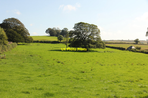 Photo 6"x4" Church meadow Totnes c2015