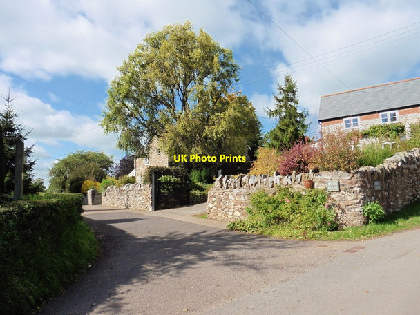 Photo 6"x4" Birch House Rosemary Lane c2015