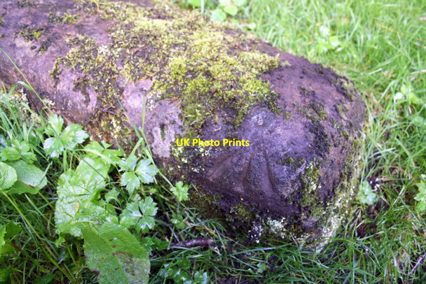 Photo 6"x4" Benchmark on rock in copse near Ash Bank Brackenber\/NY7219 c2015