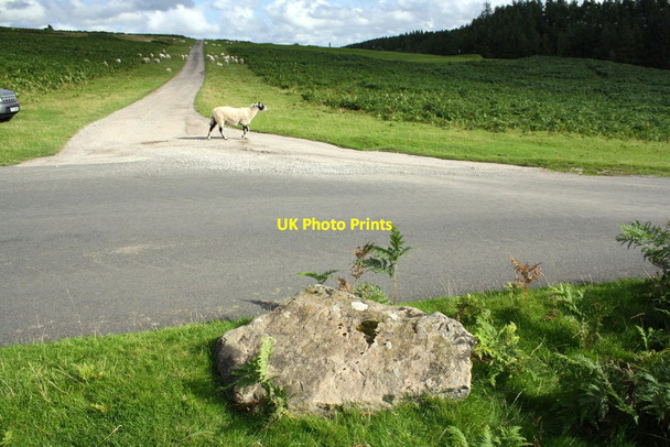 Photo 6"x4" Junction of road with farm track on Brackenber Moor Brackenber\/NY7219 c2015