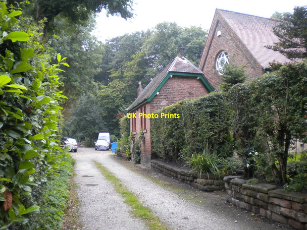 Photo 6"x4" Lane off Thelwall New Road, Thelwall Thelwall c2015