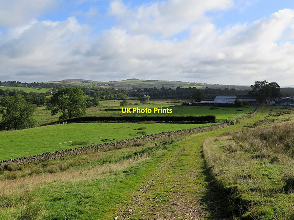 Photo 6"x4" Track west of Wydon Blenkinsopp Hall c2015