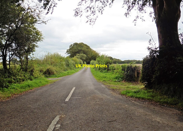 Photo 6"x4" Downlands Lane Burnworthy c2015