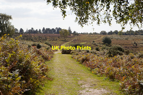 Photo 6"x4" Path over Broomy Walk Linwood\/SU1809 c2015