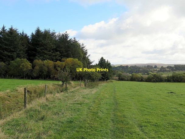 Photo 6"x4" Course of Maiden Way Roman Road east of Kellah Park Village\/NY6861 c2015