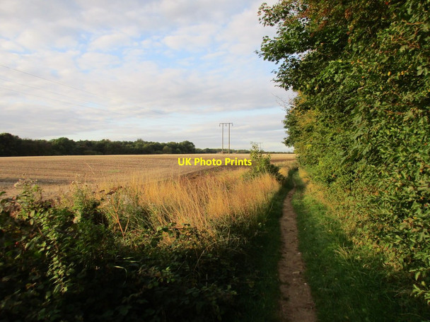 Photo 6"x4" Bridleway alongside Wadworth Wood Wadworth c2015
