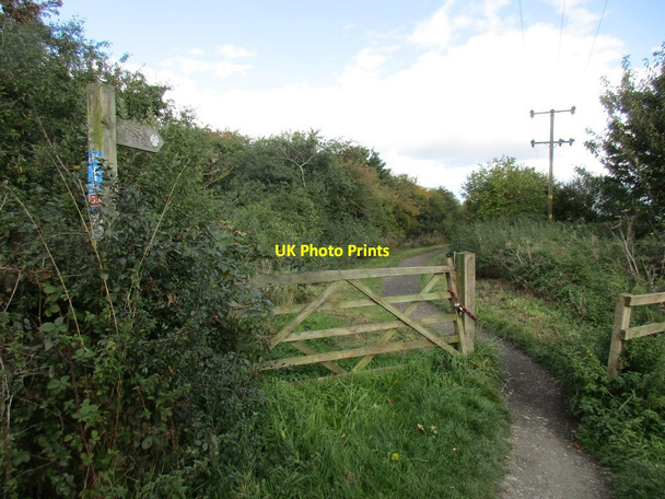 Photo 6"x4" The Hornsea Rail Trail New Ellerby c2015