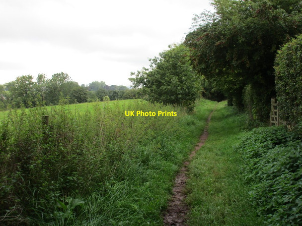 Photo 6"x4" Bridleway at Redmarley D'Abitot Redmarley D'Abitot c2015