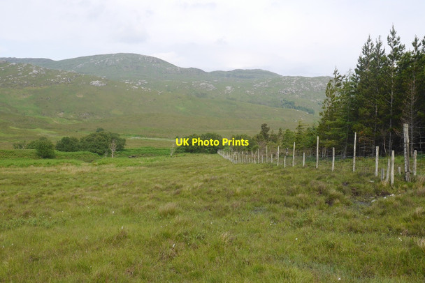 Photo 6"x4" Woodland edge, Strath More Allt a' Chaiseal Duibh c2015