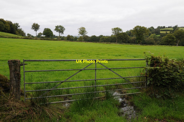 Photo 6"x4" Gate to field Pumsaint c2015
