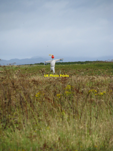 Photo 6"x4" Oronsay scarecrow Ardskenish c2009