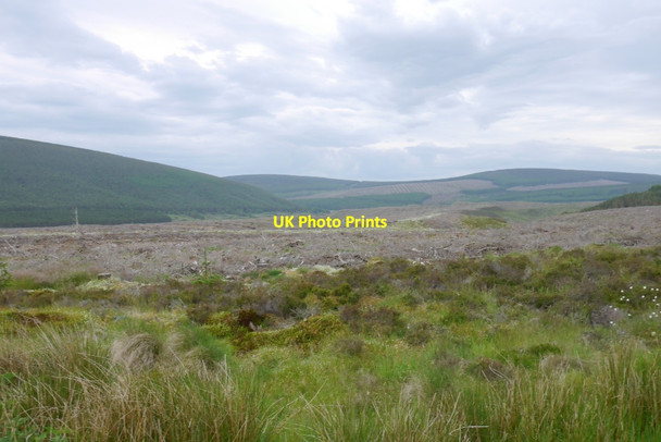 Photo 6"x4" Clear felled area, Strath Rory Druim na Gaoithe c2015