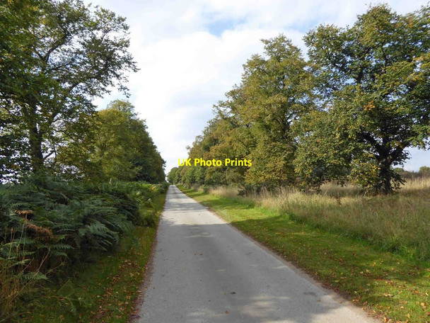 Photo 6"x4" Bridleway and access road to Inkersall Manor Bilsthorpe c2015