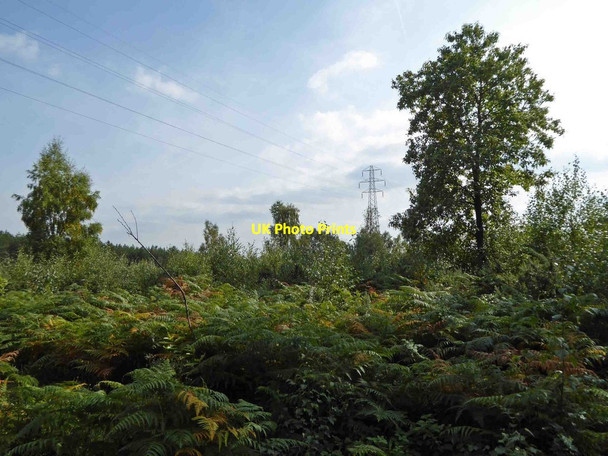 Photo 6"x4" Pylons and power lines in the forest Rainworth c2015
