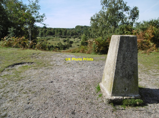 Photo 6"x4" Stagbury Hill, trig point Furzley c2015
