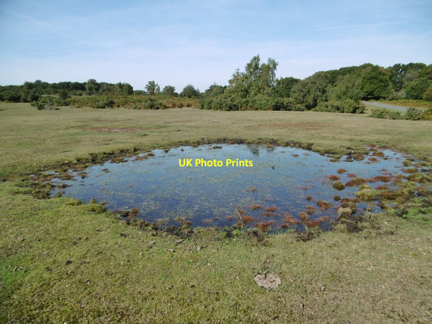 Photo 6"x4" Furzley Common, pond Furzley c2015