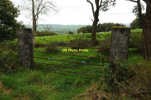 Photo 6"x4" Gate with breeze block pillars Ffaldybrenin c2015