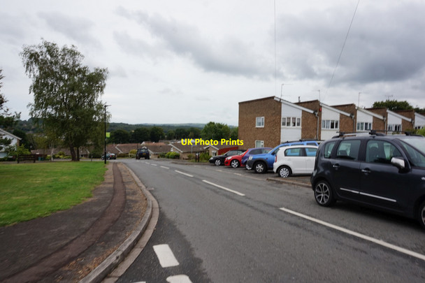 Photo 6"x4" Coastal walk on St Edmunds Walk, Wootton Wootton\/SZ5492 c2015
