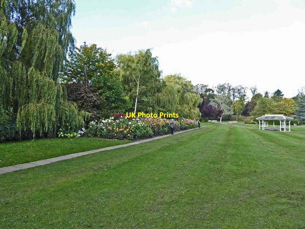 Photo 6"x4" Dahlia bed in Harrogate's Valley Gardens Harrogate c2015