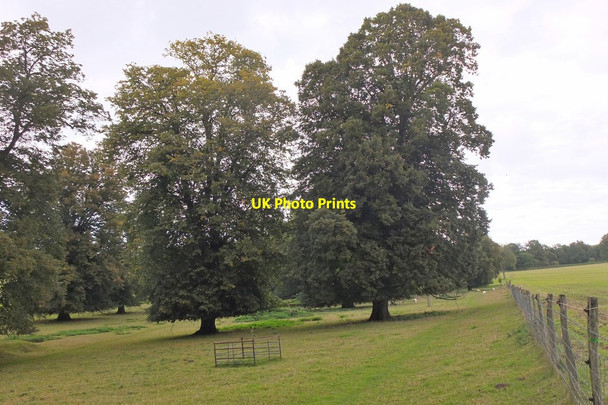 Photo 6"x4" Parkland and farmland, Barham Barham\/TR2050 c2015