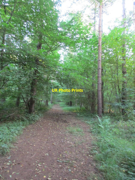 Photo 6"x4" Track in Big Stainers Greasley\/SK4947 c2015