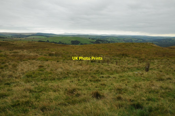 Photo 6"x4" Rough upland grazing Ffaldybrenin c2015