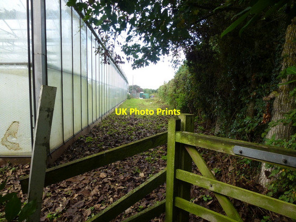 Photo 6"x4" On a footpath near Botloe's Green, 1 Botloe's Green c2015