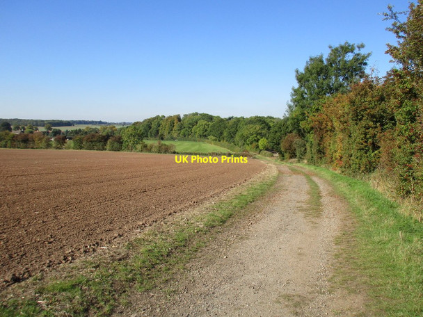 Photo 6"x4" Salt Hill Lane Firbeck c2015