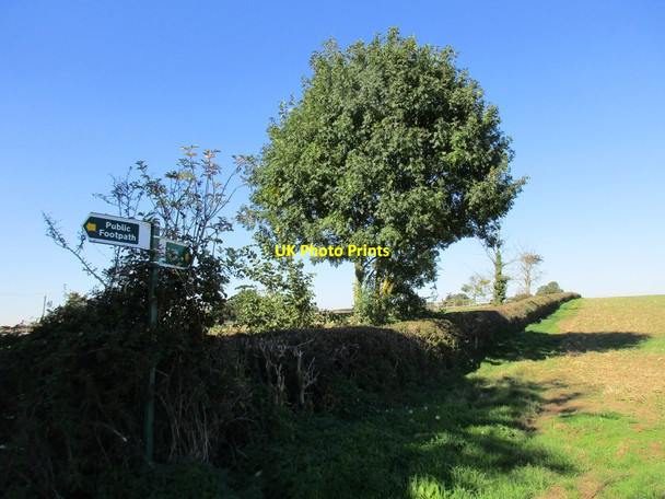 Photo 6"x4" Footpaths crossing Barker Hades Lane Letwell c2015