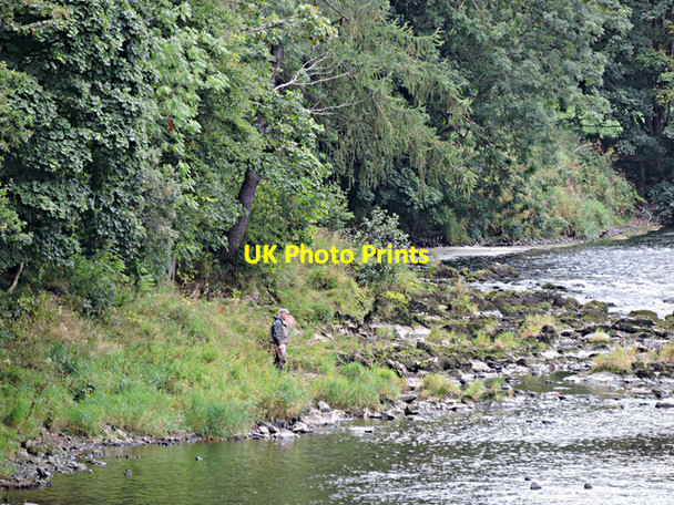 Photo 6"x4" Angler on the River Tweed Galashiels c2015