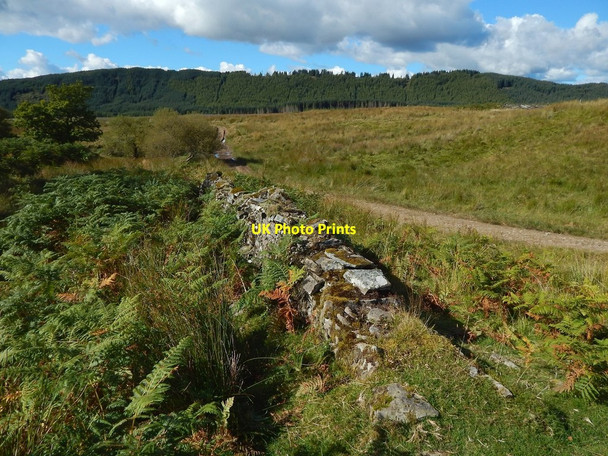 Photo 6"x4" Dry-stone dyke Arden\/NS3684 c2015