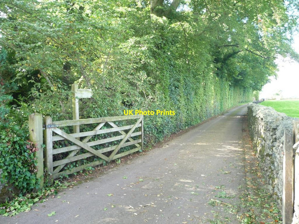 Photo 6"x4" Public footpath to Mill Moor Pooley Bridge c2015