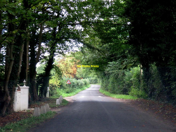 Photo 6"x4" Hurley Lane to the A404 Applehouse Hill c2015