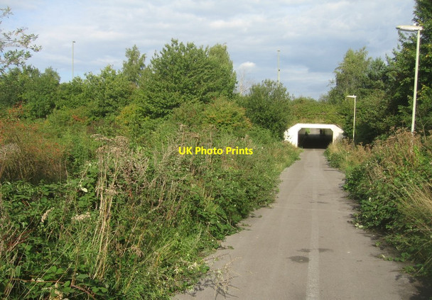 Photo 6"x4" Overgrown cycle path Basingstoke c2015