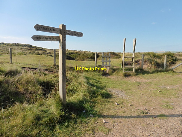 Photo 6"x4" Path junction on Braunton Burrows Appledore\/SS4630 c2015