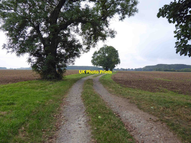 Photo 6"x4" Farm track and footpath near Ashby cum Fenby Ashby cum Fenby c2015
