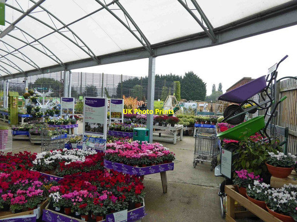 Photo 6"x4" Colourful display at Wyevale garden centre Louth Louth\/TF3387 c2015